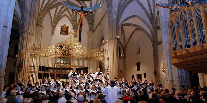 Catedral Alcala