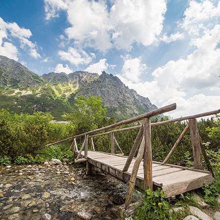 bridge over water