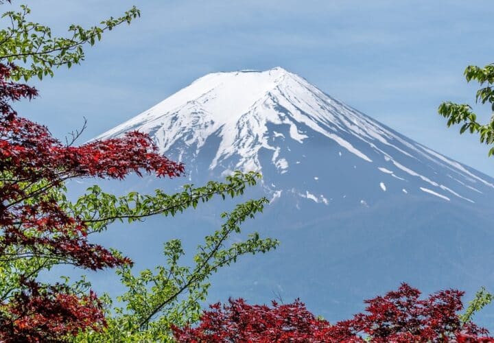 Mt.Fuji
