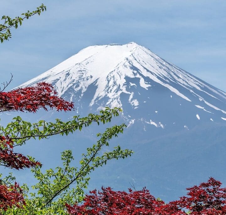 Mt.Fuji